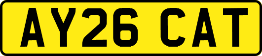 AY26CAT