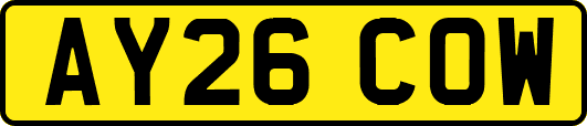 AY26COW