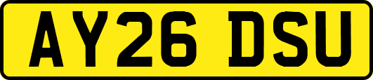 AY26DSU
