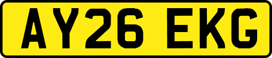 AY26EKG
