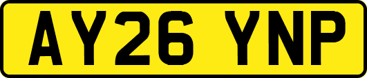 AY26YNP