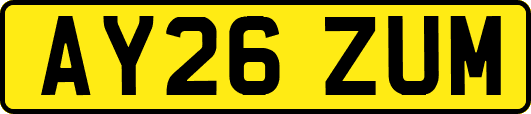 AY26ZUM