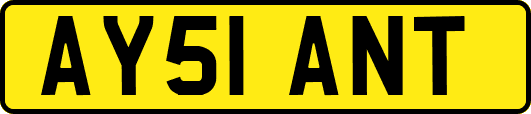 AY51ANT