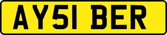 AY51BER