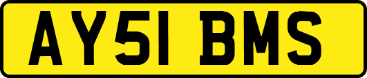 AY51BMS