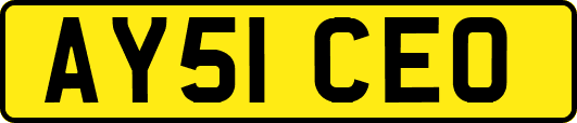 AY51CEO