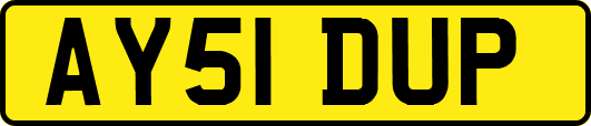 AY51DUP