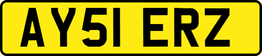 AY51ERZ