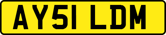 AY51LDM