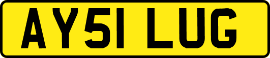 AY51LUG