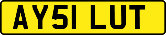 AY51LUT