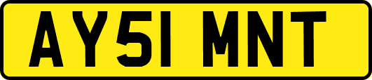 AY51MNT