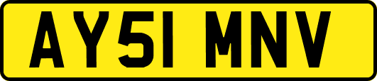 AY51MNV