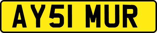 AY51MUR