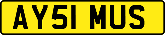 AY51MUS