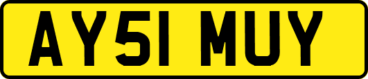AY51MUY
