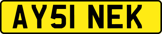 AY51NEK