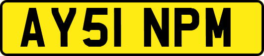 AY51NPM