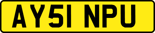 AY51NPU