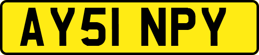 AY51NPY