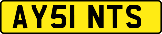 AY51NTS