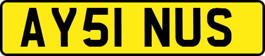 AY51NUS