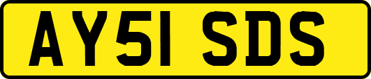 AY51SDS