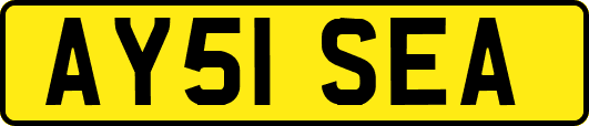 AY51SEA