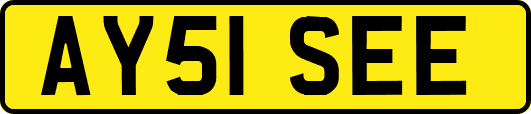 AY51SEE