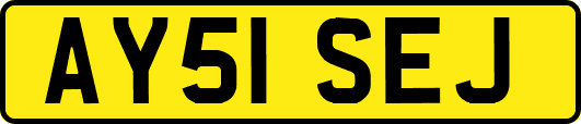 AY51SEJ