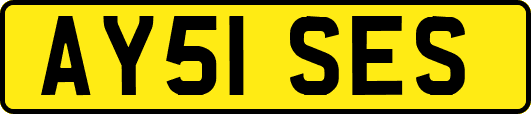 AY51SES