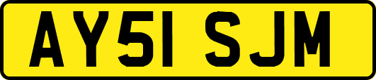 AY51SJM