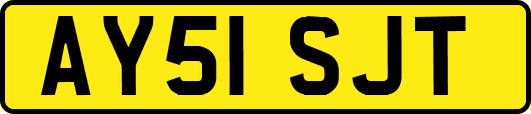 AY51SJT