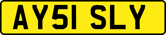 AY51SLY