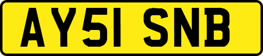 AY51SNB