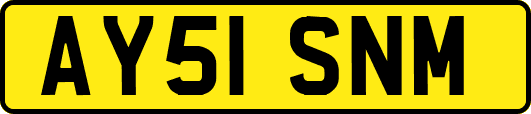 AY51SNM
