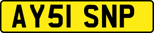 AY51SNP