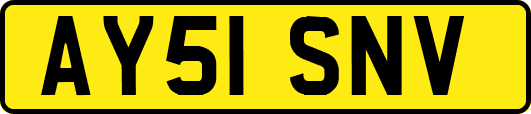AY51SNV