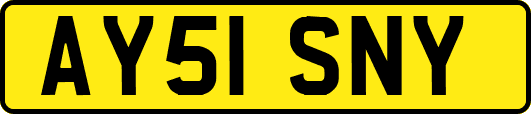 AY51SNY