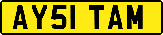 AY51TAM