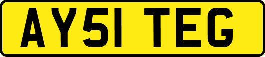 AY51TEG