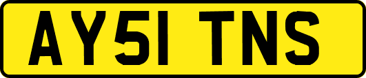 AY51TNS