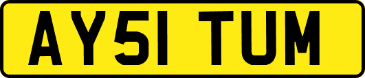 AY51TUM