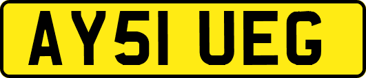 AY51UEG