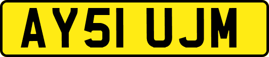 AY51UJM