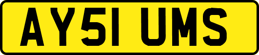 AY51UMS