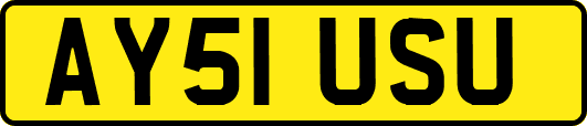 AY51USU