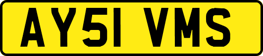 AY51VMS