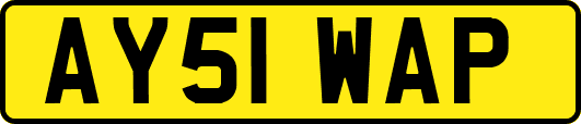 AY51WAP