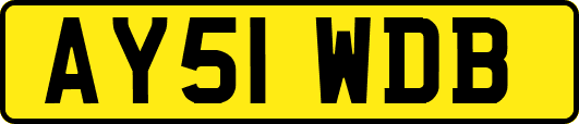 AY51WDB